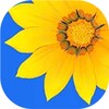 糖芯logo入口免费版